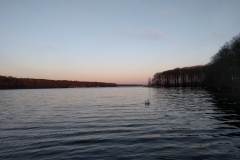 Werbellinsee