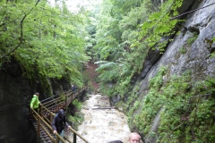 Bärenschützklamm