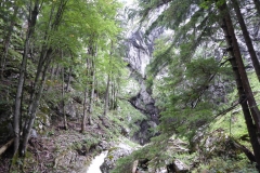 Bärenschützklamm