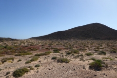 Fuerte-2017-120