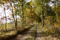 Herbstimpression